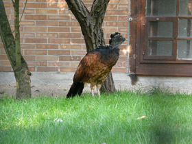 Смотреть фото Большой кракс Фото Большой кракс