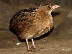 Смотреть фото Биография новорожденных Фото Биография новорожденных