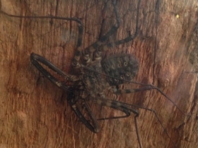 Смотреть фото Фрины Фото Фрины