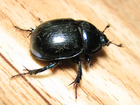 Смотреть фото Загадки для детей с ответами Фото Загадки для детей с ответами