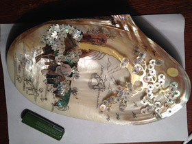 Фото Унионидообразные