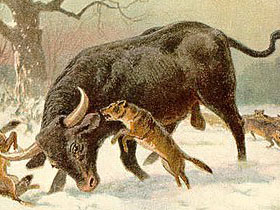 Смотреть фото Тур Фото Тур