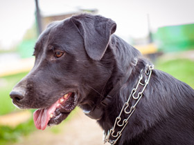 Смотреть фото Загадки для детей с ответами Фото Загадки для детей с ответами