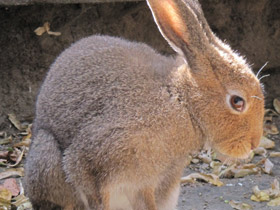 Смотреть фото Храбрецы и трусы Фото Храбрецы и трусы