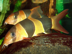 Фото Чего нельзя делать в зоопарке и почему