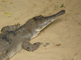 Фото Чего нельзя делать в зоопарке и почему