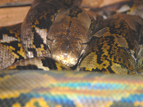 Смотреть фото Храбрецы и трусы Фото Храбрецы и трусы